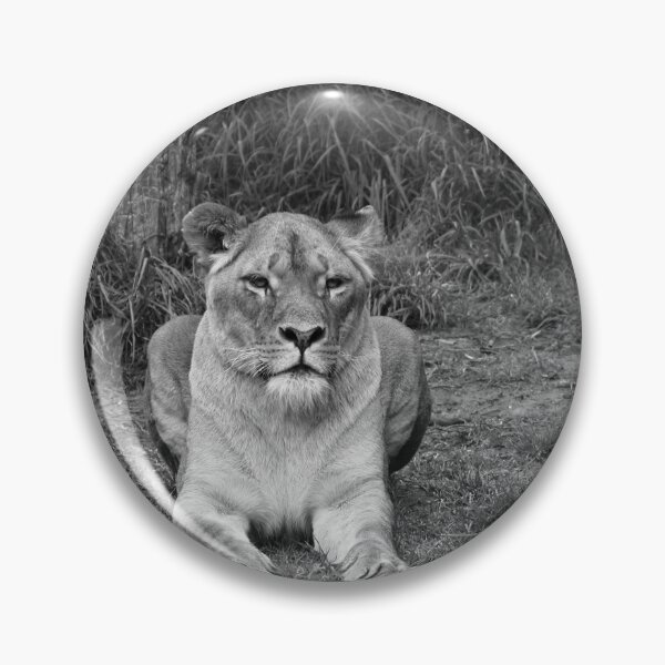 Item preview, Lioness In The Sun designed and sold by Mrspink16.