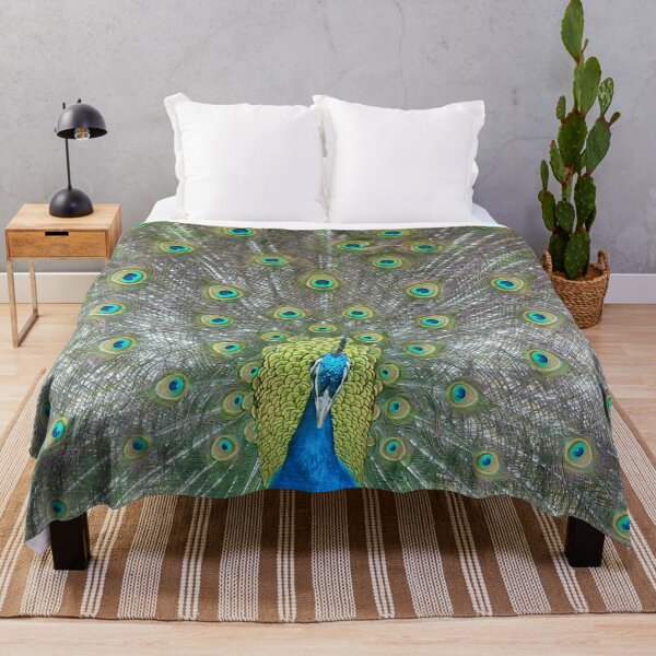 Item preview, Male peacock display designed and sold by FunkiFunki.