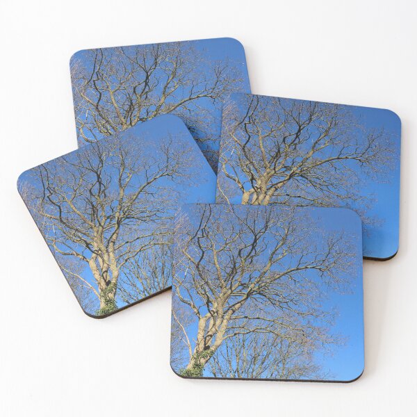 Item preview, Trees, ivy and a blue winter sky designed and sold by wineandwords.