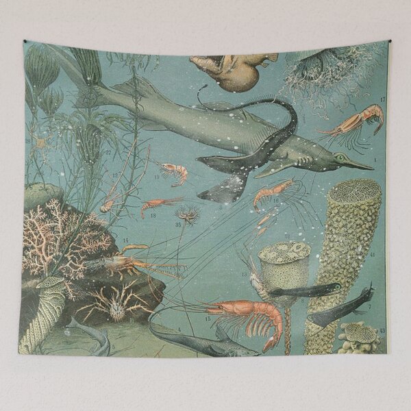 Item preview,  Varieties of Fish chart poster art - Adolphe Millot  designed and sold by Vintage Designs +.
