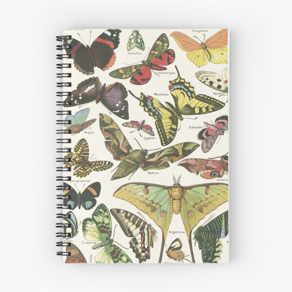 Item preview, Varieties Butterfly chart poster art - Adolphe Millot  designed and sold by Vintage Designs +.