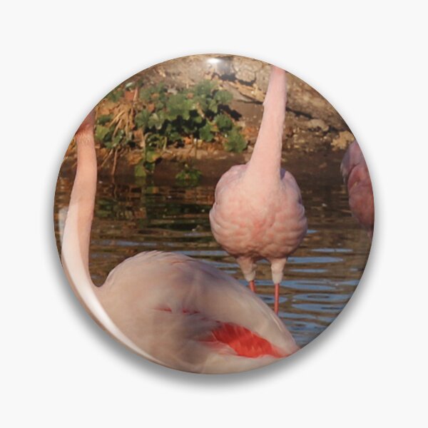 Item preview, Beauty lesser flamingos. designed and sold by Lan thi Nguyen.