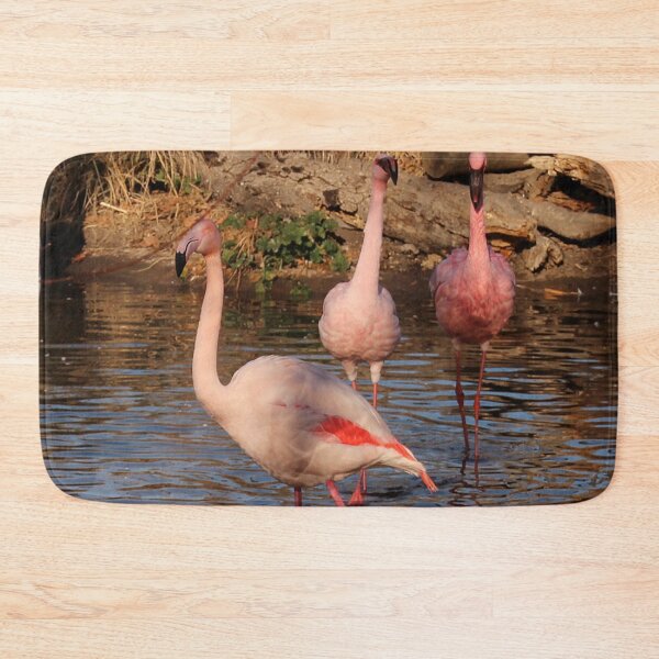 Item preview, Beauty lesser flamingos. designed and sold by Lan thi Nguyen.