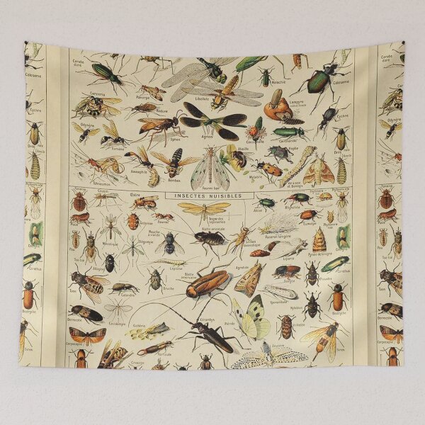 Item preview, Varieties insect chart poster art - Adolphe Millot  designed and sold by Vintage Designs +.