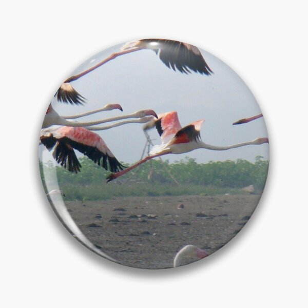 Item preview, Wonderful herd lesser flamingo. designed and sold by Lan thi Nguyen.