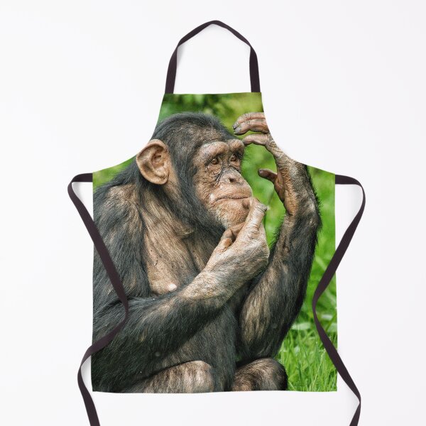 Item preview, The philosopher designed and sold by Jellycandy.