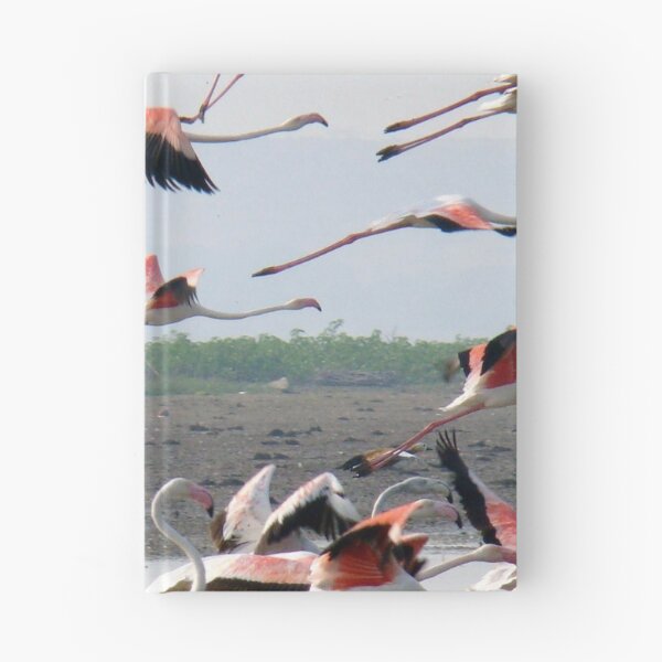 Item preview, Wonderful herd lesser flamingo. designed and sold by Lan thi Nguyen.