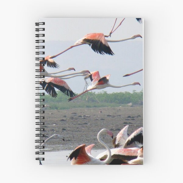 Item preview, Wonderful herd lesser flamingo. designed and sold by Lan thi Nguyen.