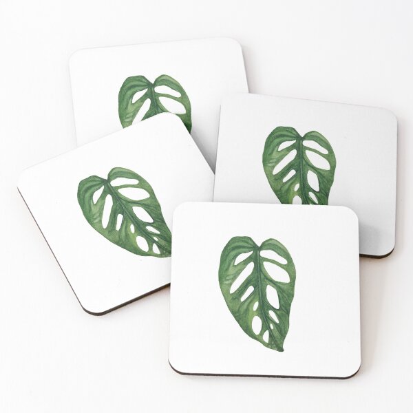 Item preview, Monstera Adansonii designed and sold by plantwithhan.