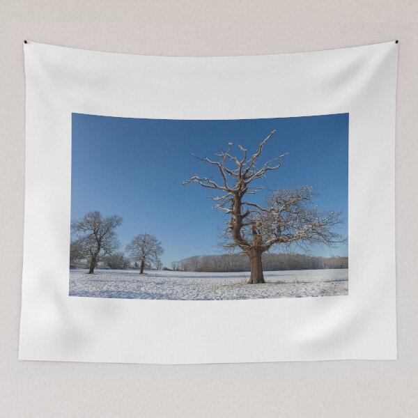 Item preview, Winter Wonderland designed and sold by Nick Atkin.