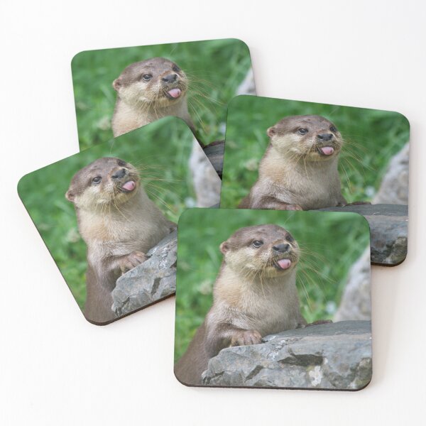 Item preview, Cheeky otter designed and sold by Jellycandy.