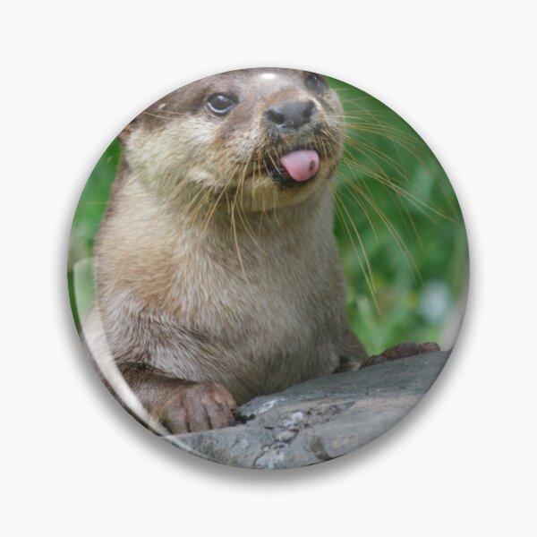 Item preview, Cheeky otter designed and sold by Jellycandy.
