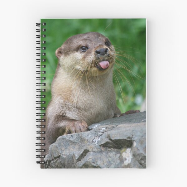 Item preview, Cheeky otter designed and sold by Jellycandy.