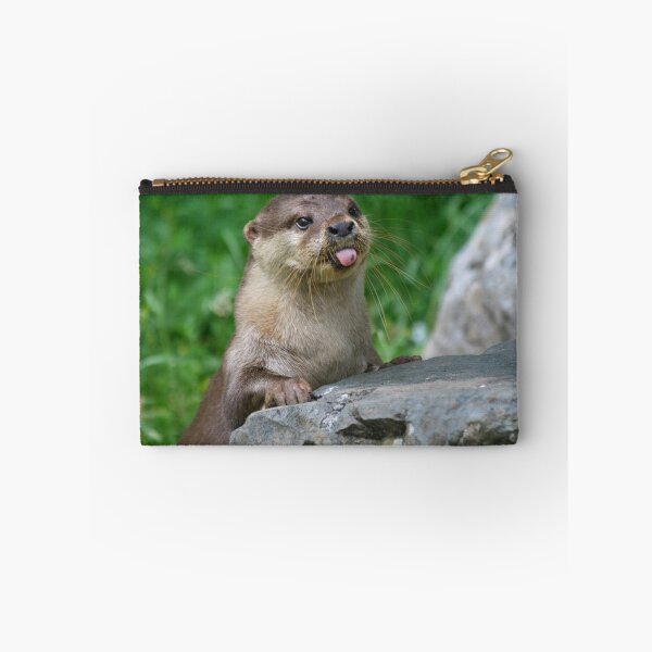 Item preview, Cheeky otter designed and sold by Jellycandy.