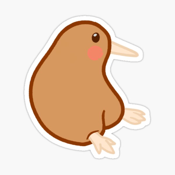 Kiwi Bird Friend Kiwi Bird Friend