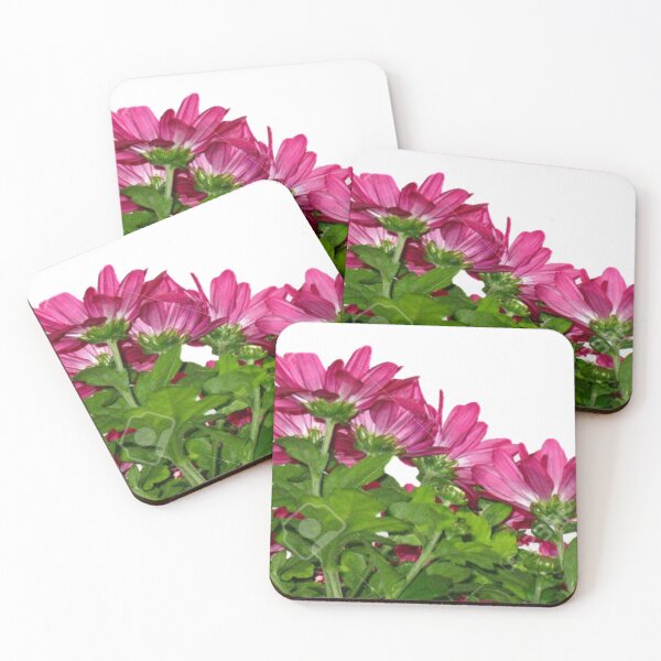 Item preview, Pink chrysanthemums designed and sold by Magileo.