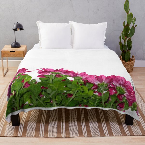 Item preview, Pink chrysanthemums designed and sold by Magileo.