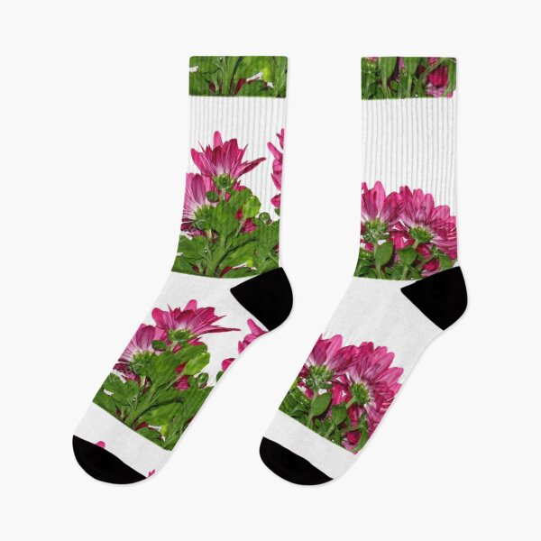 Item preview, Pink chrysanthemums designed and sold by Magileo.