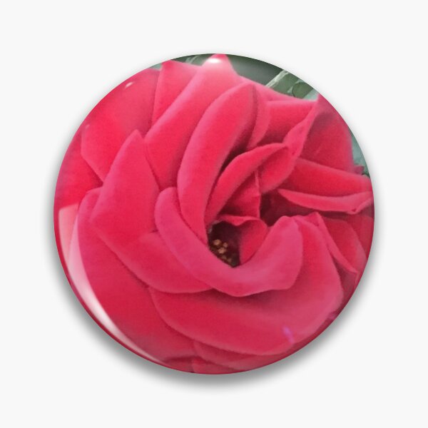 Aperçu de l'œuvre Rose velours rouge créée et vendue par RiaV.