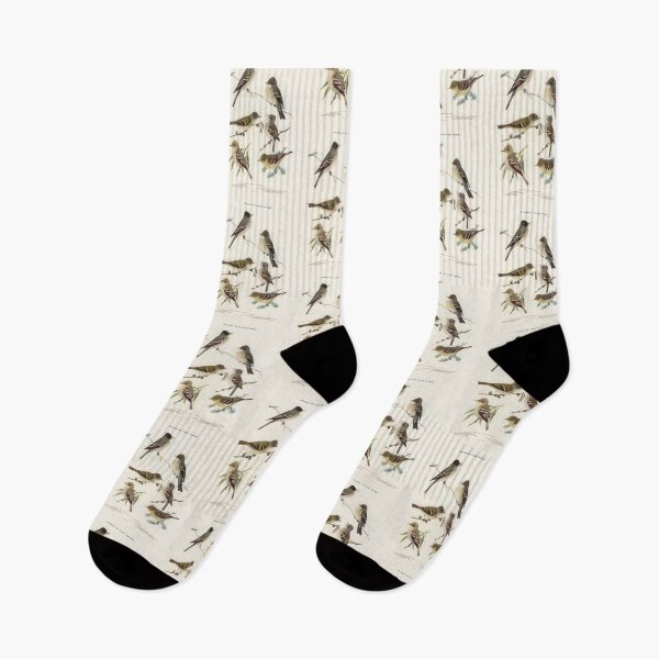 Item preview, Flycatchers Vintage birds of New York illustration designed and sold by Vintage Designs +.