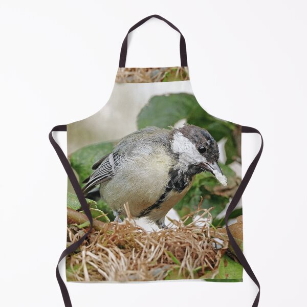 Item preview, r1468/ New Finition -  2021 -  mésange  b 19 (c)(t)   Olavia-Olao  Okaio Créations  designed and sold by o.okaïo.