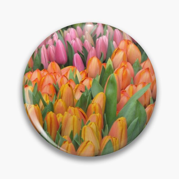 Item preview, Many tulips designed and sold by Magileo.