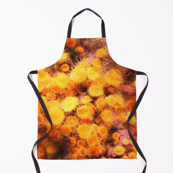 Item preview, Colors of the Ocean. Undersea wonders. designed and sold by picturedlcphoto.