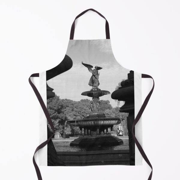 Item preview, Bethesda Fountain in Black and White, New York City designed and sold by picturedlcphoto.