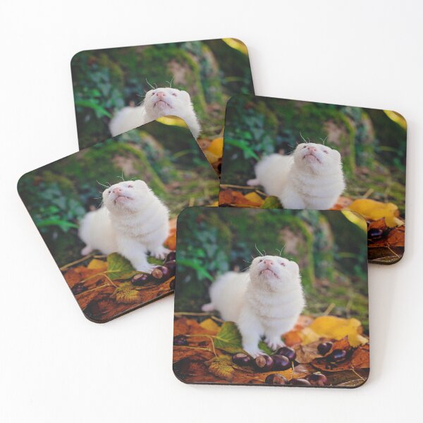 Item preview, Albino Ferret Migaloo Autumn designed and sold by PurpleBluesPets.