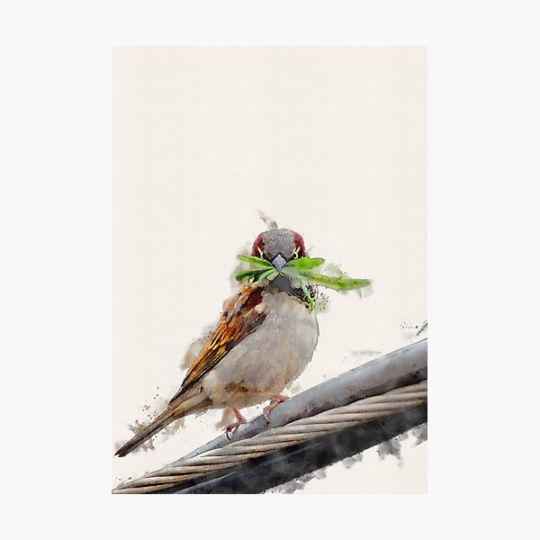 Item preview, Brushed Watercolor brown bird designed and sold by amazimals.