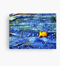 Goldfish Canvas Print