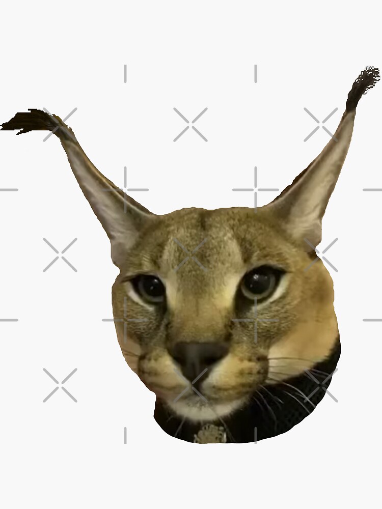 FLOPPA CAT \ CARACALS | Sticker