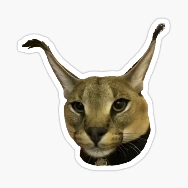 Beluga cat, Beluga Cat Meme, Meme Sticker for Sale by graphic-genie