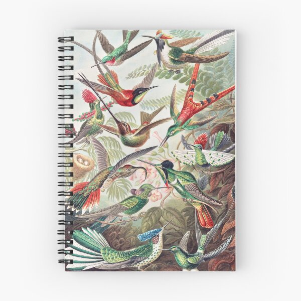 Item preview, Vintage Colibri Poster designed and sold by redoARTstore.