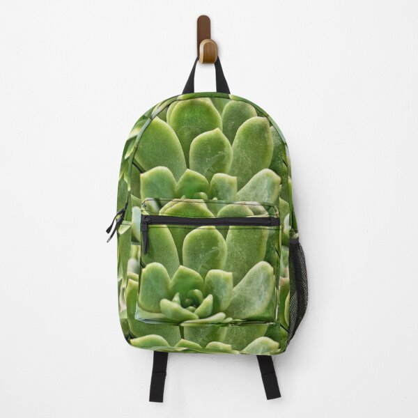 Item preview, Light Green Succulent Close-up Nature Photograph designed and sold by pieces2treasure.