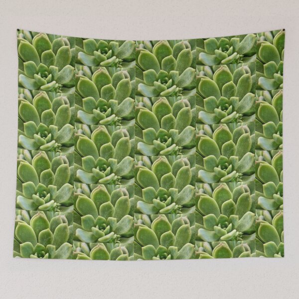 Item preview, Light Green Succulent Close-up Nature Photograph designed and sold by pieces2treasure.
