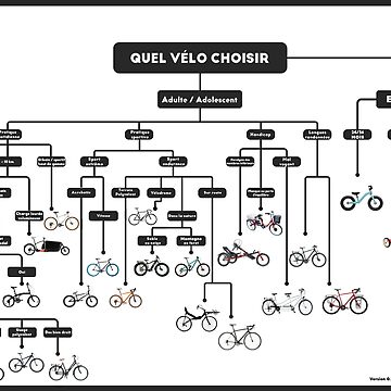 Aperçu de l'œuvre Quel vélo choisir ? (Version noire) de Velook