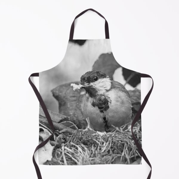 Item preview, r1466/ New Finition - 2021 - mésange b 17 (n&b)(h) Olavia-Olao Okaio Créations designed and sold by o.okaïo.