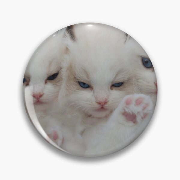 Item preview, Cute cats designed and sold by Illium21.