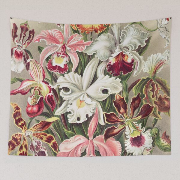 Artikelvorschau, Vintage Orchideenplakat entworfen und verkauft von redoARTstore.