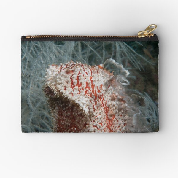 Spawning Sea Cucumber, Kapalai, Malaysia Zipper Pouch