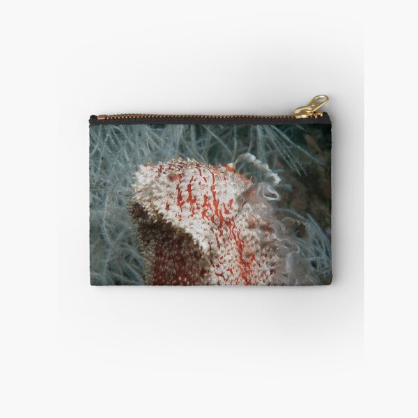 Item preview, Spawning Sea Cucumber, Kapalai, Malaysia designed and sold by Erik Schlogl.