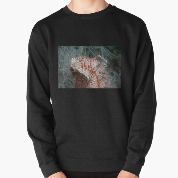 Spawning Sea Cucumber, Kapalai, Malaysia Pullover Sweatshirt