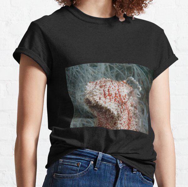 Spawning Sea Cucumber, Kapalai, Malaysia Classic T-Shirt