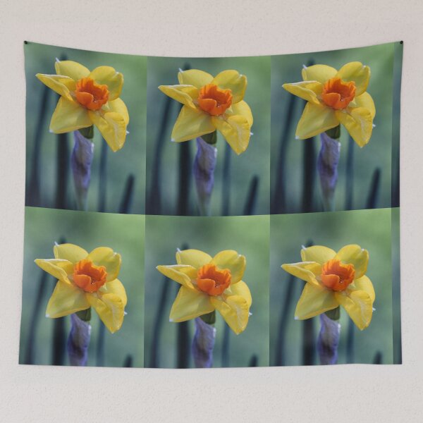 Item preview, Narcissus. designed and sold by John Ray.