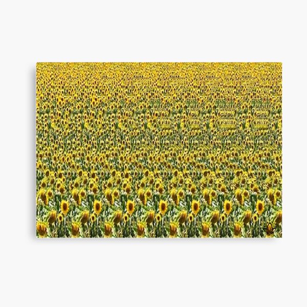 Aperçu de l'œuvre Survolant le stéréogramme du champ de tournesol créée et vendue par JMarP.
