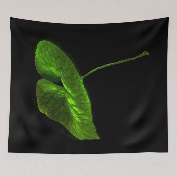 Item preview, Large Green Leaf of Black designed and sold by AMGImpressions.