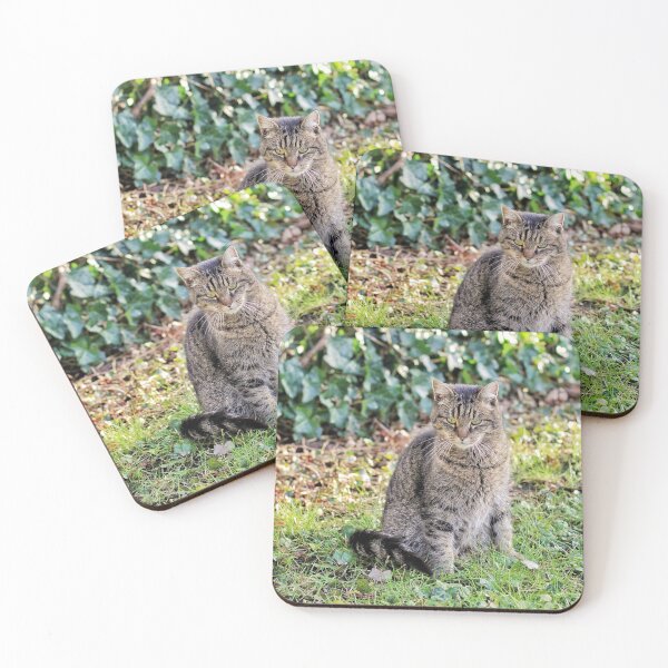 Item preview, Tabby cat strikes a pose in the garden designed and sold by wineandwords.