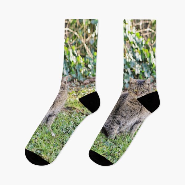 Item preview, Tabby cat strikes a pose in the garden designed and sold by wineandwords.