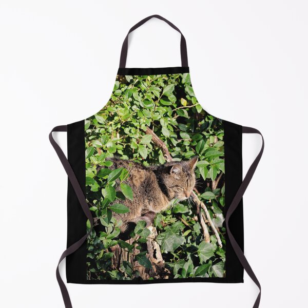 Item preview, Tabby cat dozing in the hedge designed and sold by wineandwords.